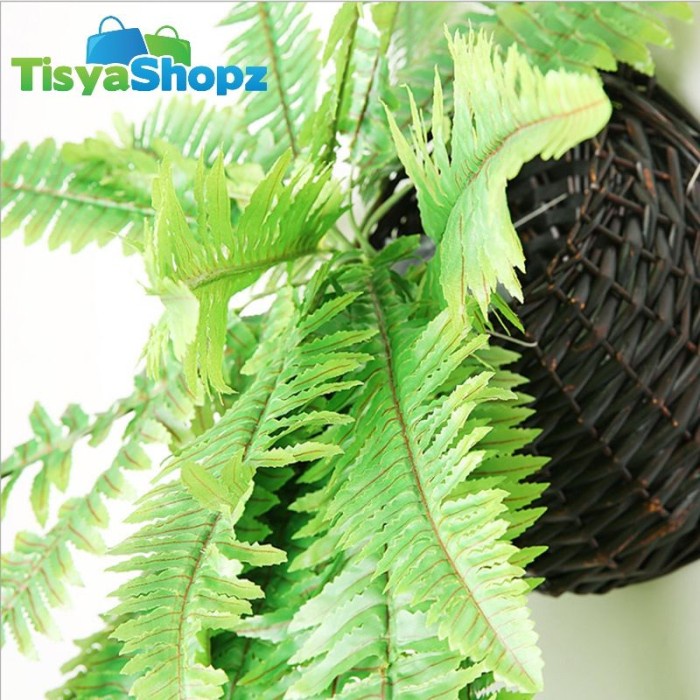 FLASH SALE DAUN PALM PAKIS / DAUN JUNTAI BOSTON FERN / DAUN HIAS PAKIS JUNTAI TERBARU