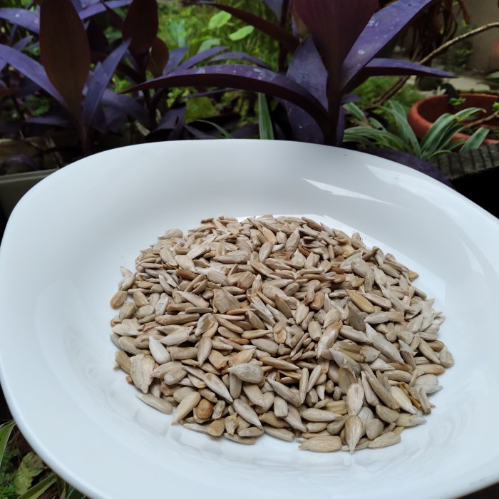 

Raw Sunflower Seed 1 Kg Kuaci