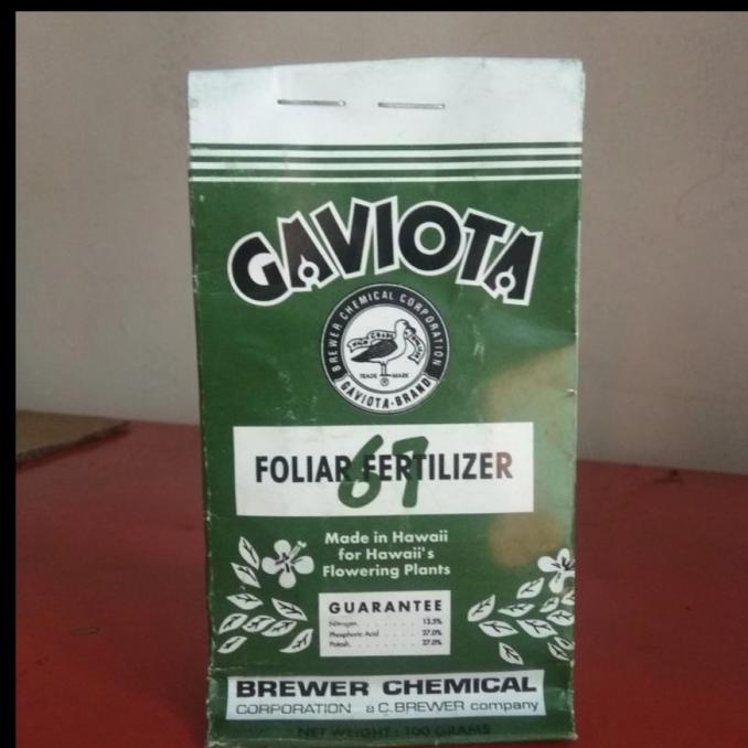 Laris Pupuk Gaviota 67 (Pembungaan)