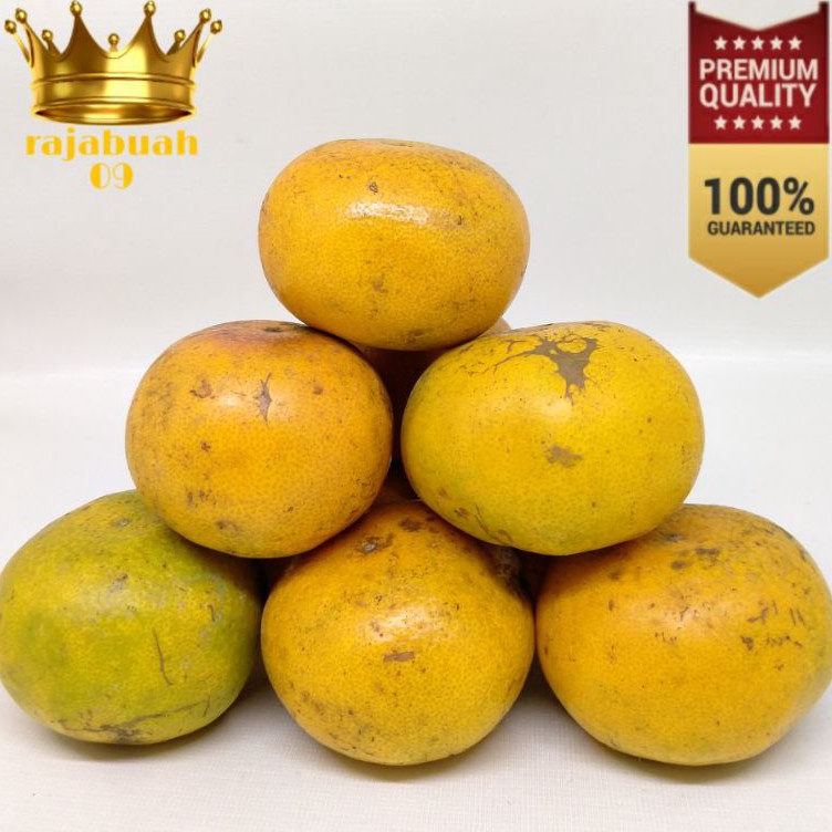 

➟Terkini⁑➙ BY8AI Jeruk Medan Manis Kecil 1 Kg Isi 12-15 Buah I55 ❅Seller