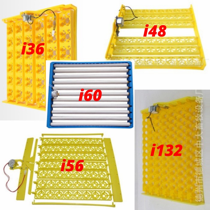 Terlaris Egg Tray Rak Mesin Tetas Telur Dg Dinamo Otomatis Rak Penetas Otomatis