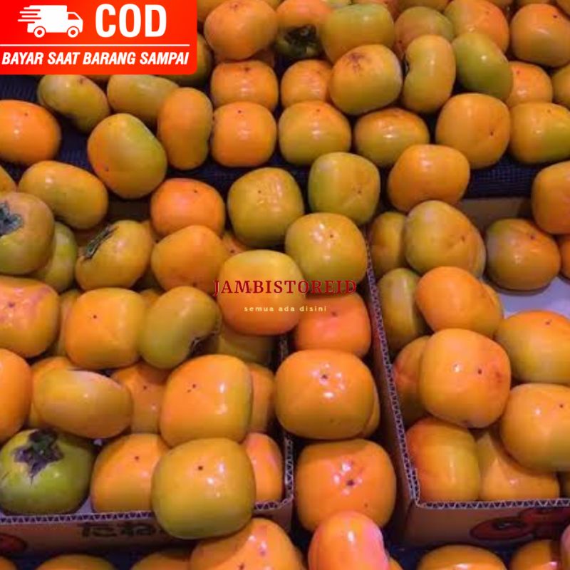 

(JAMBISTOREID) JAMBI LANGSUNG KIRIM Buah Kesemek 1kg Segar Persimmon Persimon Buah Genit Lokal Import New Zealand Fresh Jambi