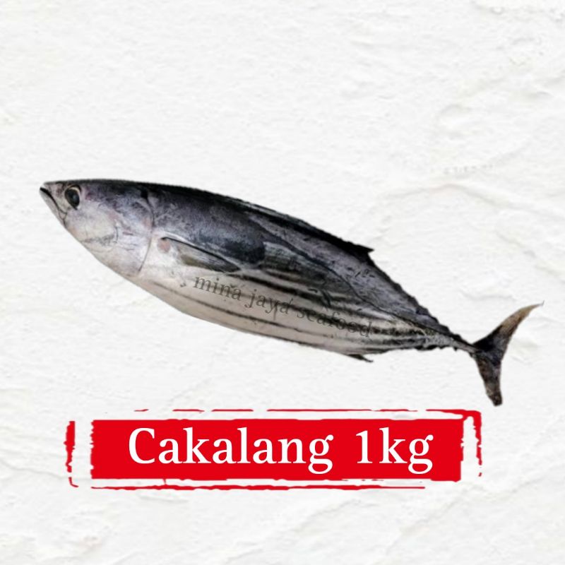 

Ikan Cakalang 1KG / FREE SUDAH DIBERSIHKAN