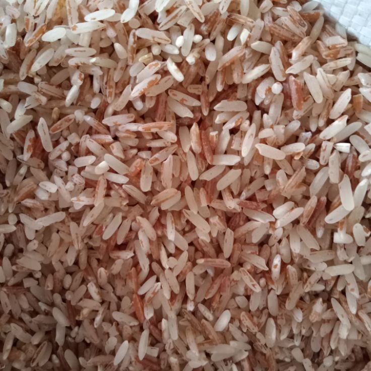 

DBXR2763㊮ Beras Merah Kampung Kab.Karo Versi Pink Pucat ㊧