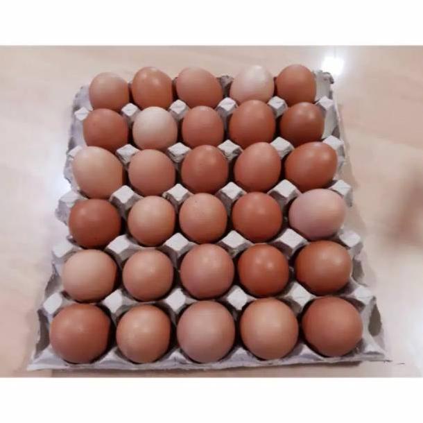 

HOT PROMO [PROMO PAKET HEMAT BISA FREE ONGKIR] TELOR / TELUR AYAM NEGERI PER KG FRESH BARU