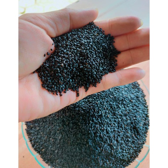 

Murah.. Biji Selasih Import 1 kg kilogram Bersih Grade A JTE