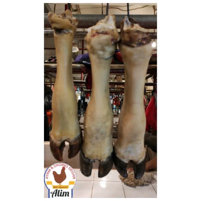 

Kaki Sapi Segar Per Pcs (Whole Beef Legs) _ 2,0 kg