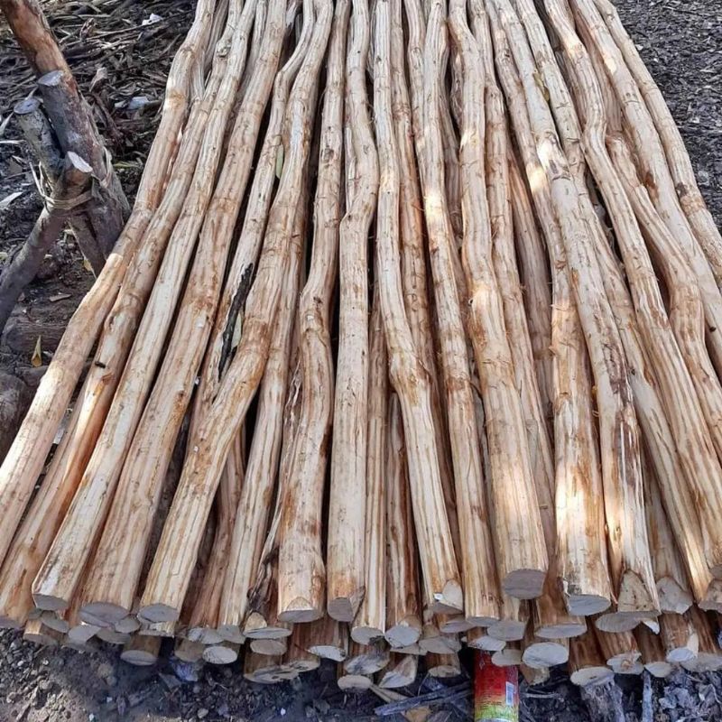 kayu dolken kupas dimeter 4,5,6