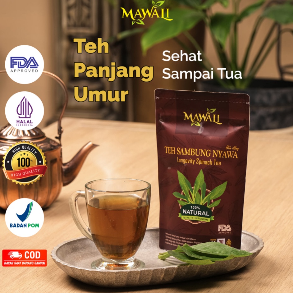

Terbaru Teh Herbal Sambung Nyawa MAWALI Original - isi 20 Bag 100% Organik