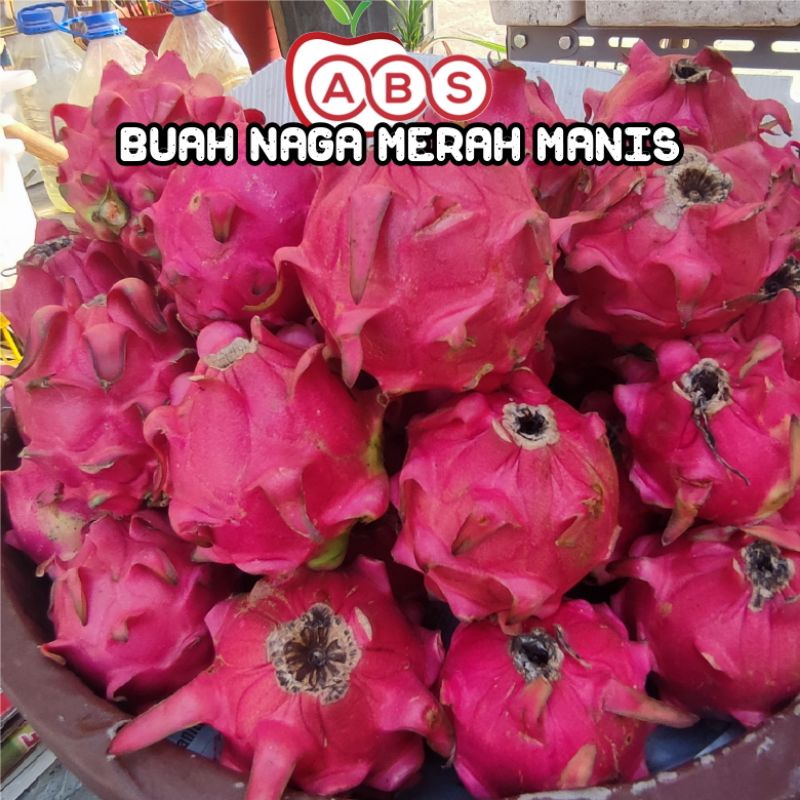 

BUAH NAGA MERAH MANIS 1KG | buah naga merah super 1 Kg | buah naga segar manis