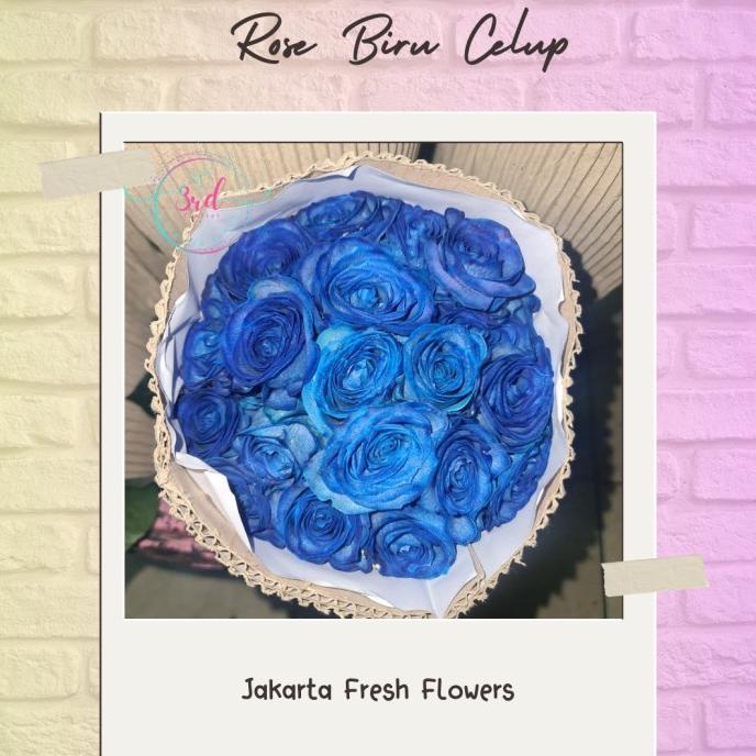 

6.6 Bunga Mawar Semi Holland Biru Celup ( Bunga Segar Jakarta)