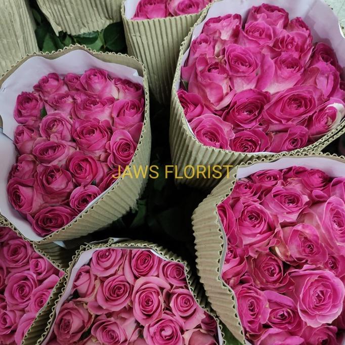 

Promo Bunga Mawar Semi Holland Fresh
