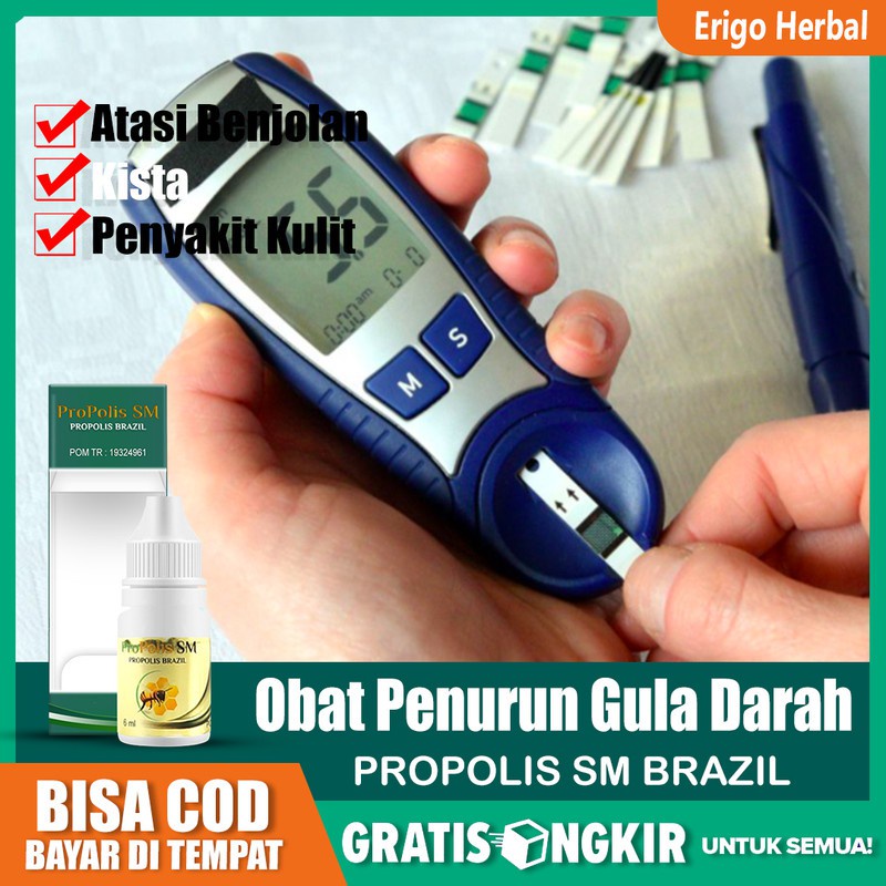 

Obat Penurun Gula Darah Cepat Dan Tinggi, Kencing Manis Herbal Terbukti Propolis SM Di Tangerang