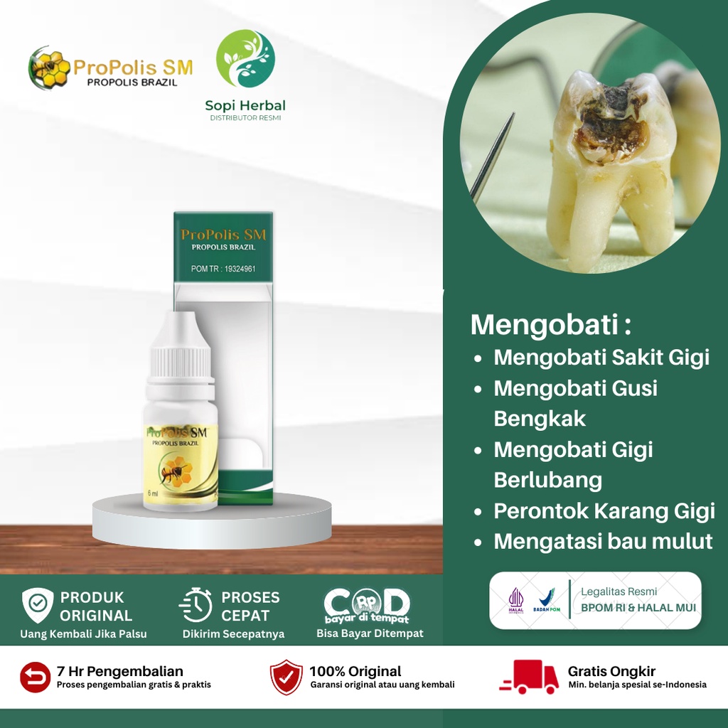 Obat Sakit Gigi Berlubang, Obat Herbal Perontok Karang Gigi, Penghilang Gusi Bengkak, Obat Gigi Berl