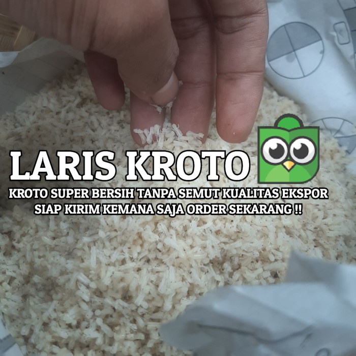 Best Seller Kroto Super Bersih Tanpa Semut Kroto Baduy Beku *Ingat Ini Beku* 1 Ons