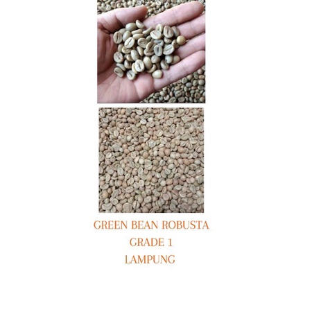 

GREEN BEAN ROBUSTA GRADE1 LAMPUNG 1KG