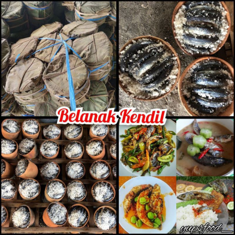 BELANAK KENDIL PINDANG KENDIL ISI 10-12 EKOR
