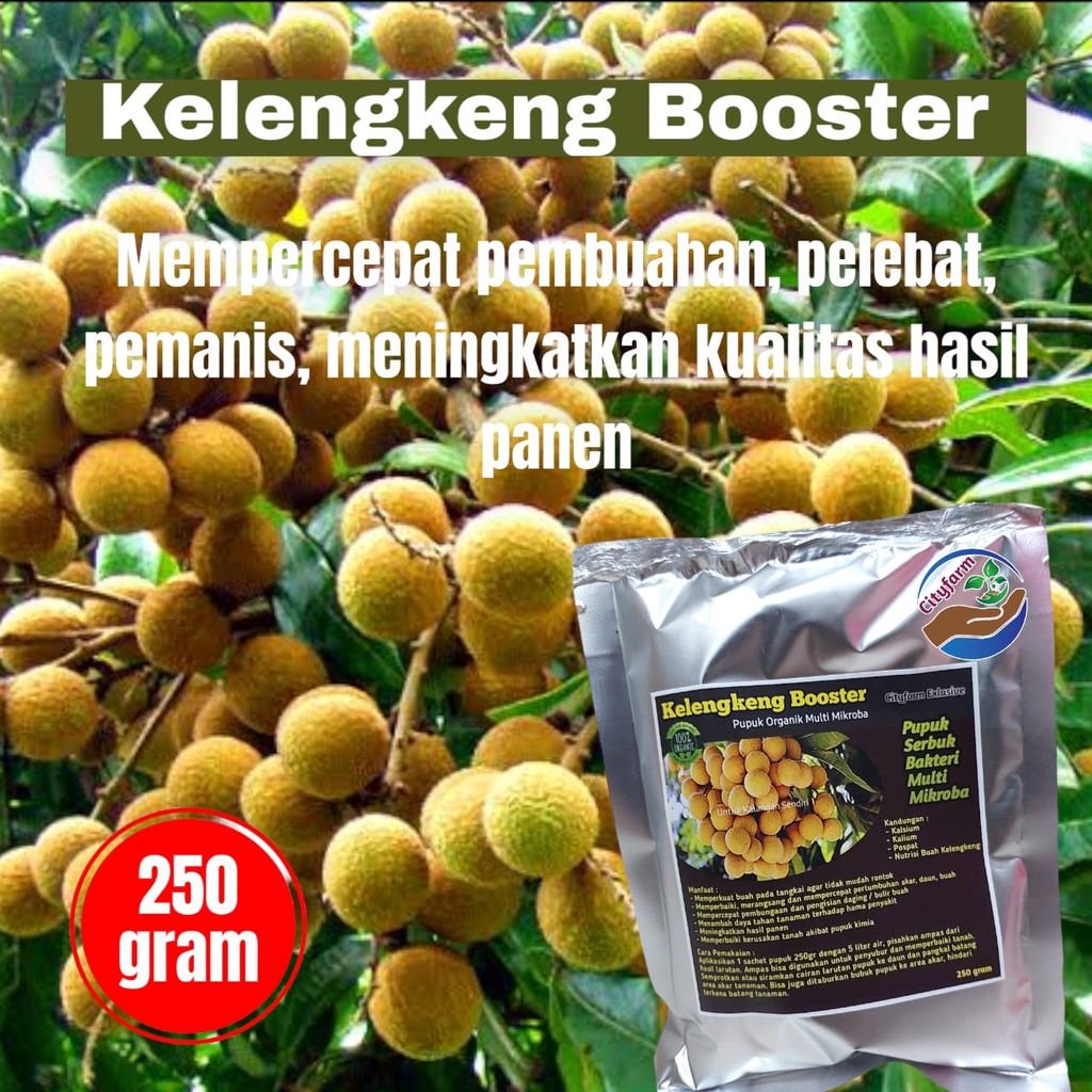 Pupuk Organik Booster Kelengkeng Kualitas Super Pelebat Buah 250gr