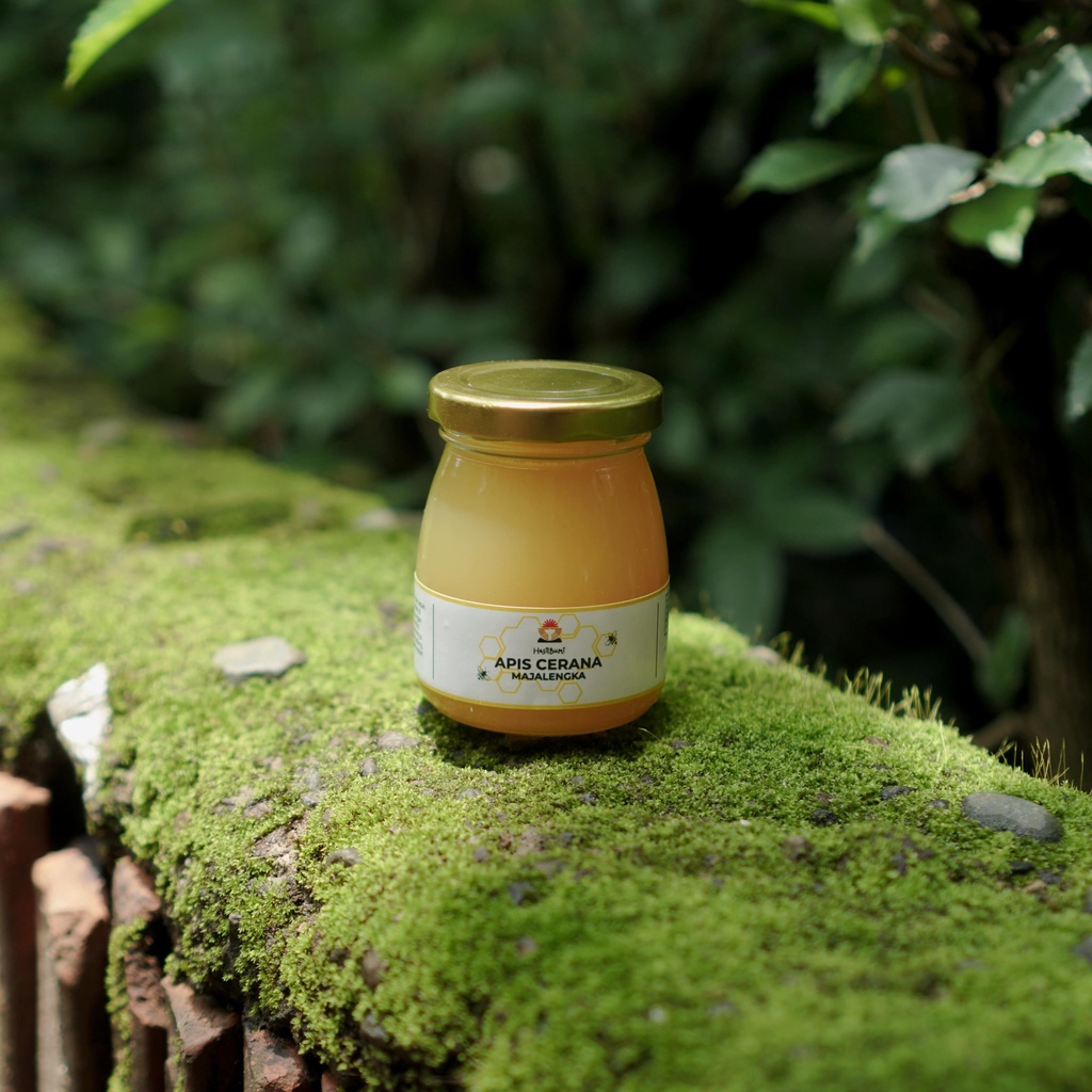 

Madu Apis Cerana Majalengka 100 ml / 200 ml - Madu Asli