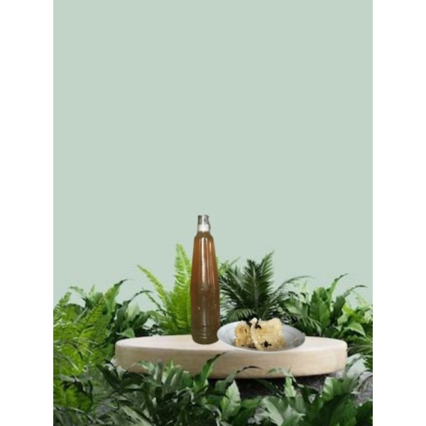 

MADU HUTAN ASLI MURNI TANPA CAMPURAN LANGSUNG DARI POHONNYA