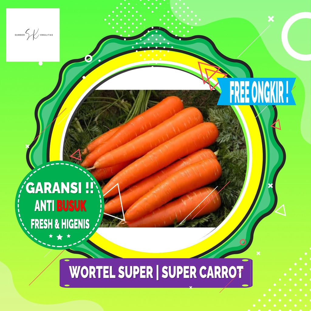 

Sumber Kwalitas - Wortel Super | Super Carrot 250 gram 500 gram