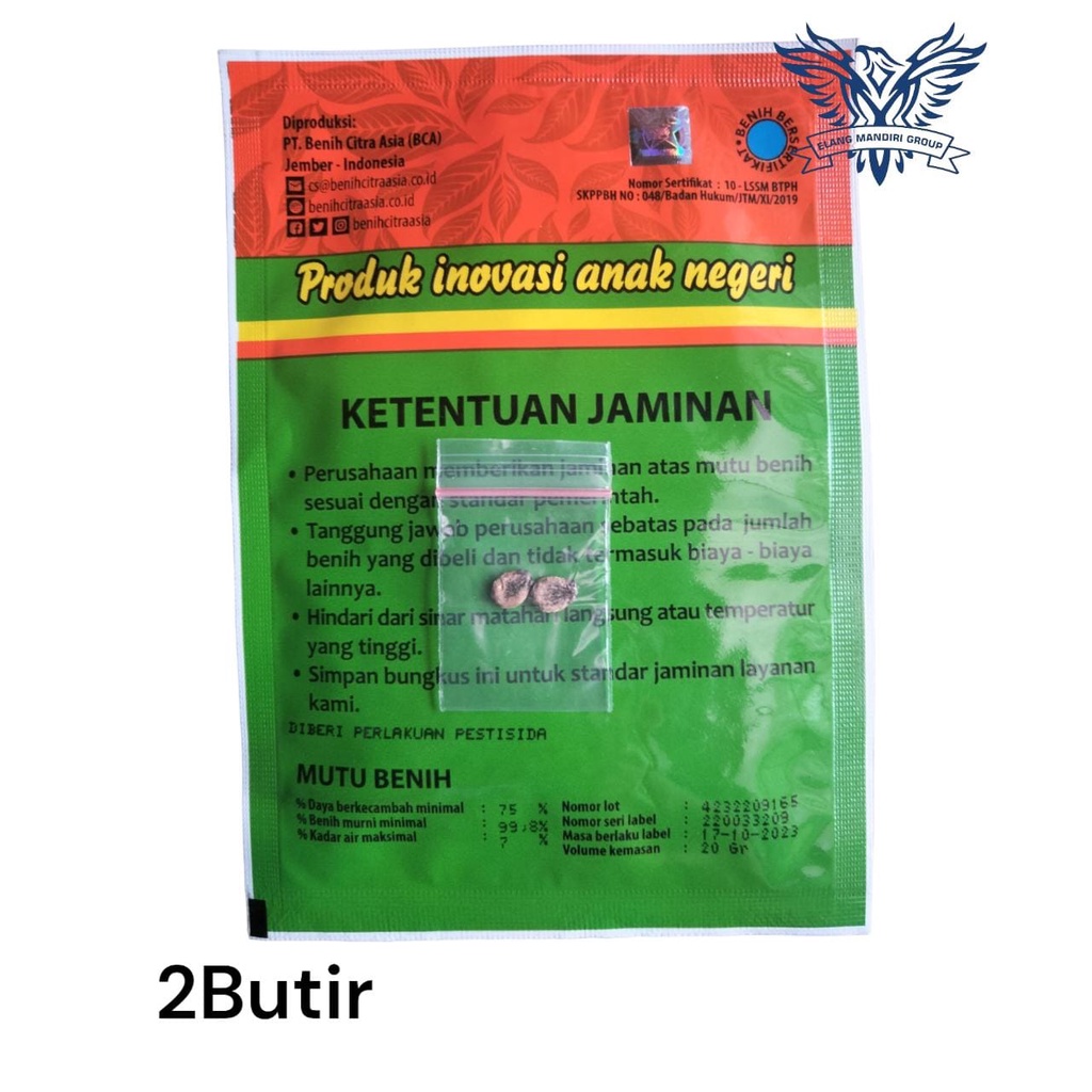 Repack 2000an Benih Bibit SEMANGKA SERI F1 2 Butir Bintang Asia Cocok Untuk di Pekarangan