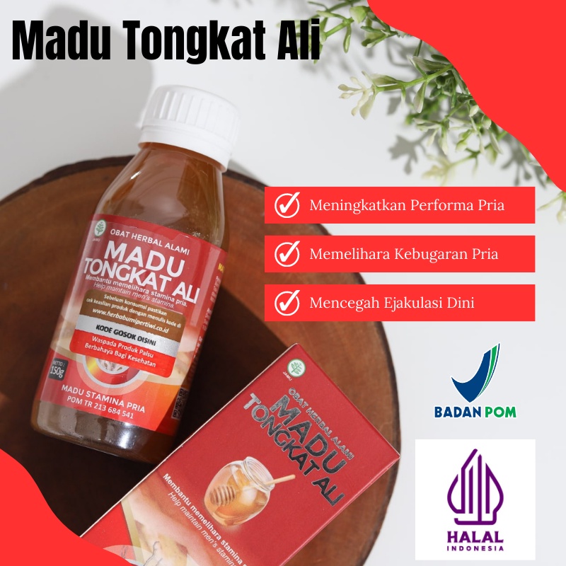 

Madu Tongkat Ali