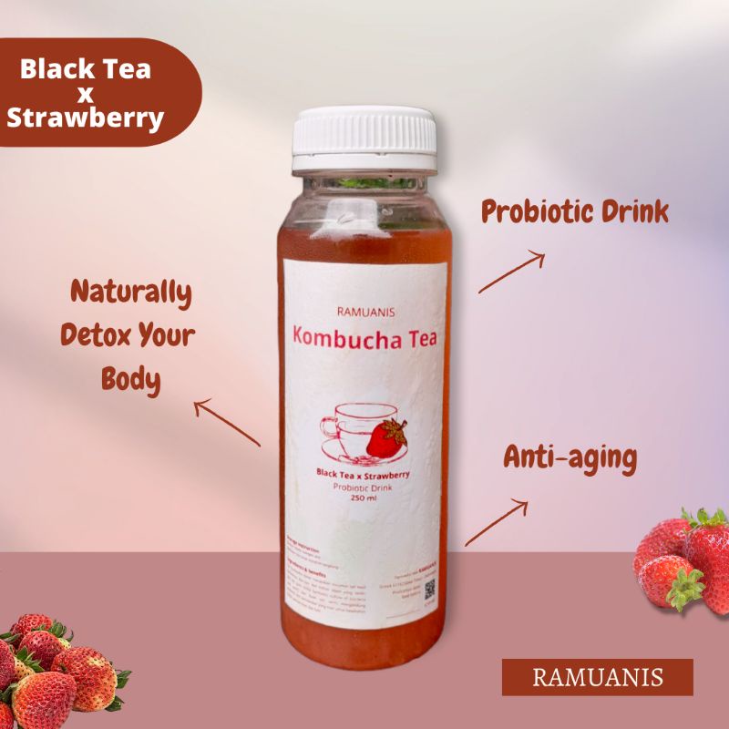 

Strawberry Kombucha | Black Tea × Strawberry | Probiotic Drink 250 ml