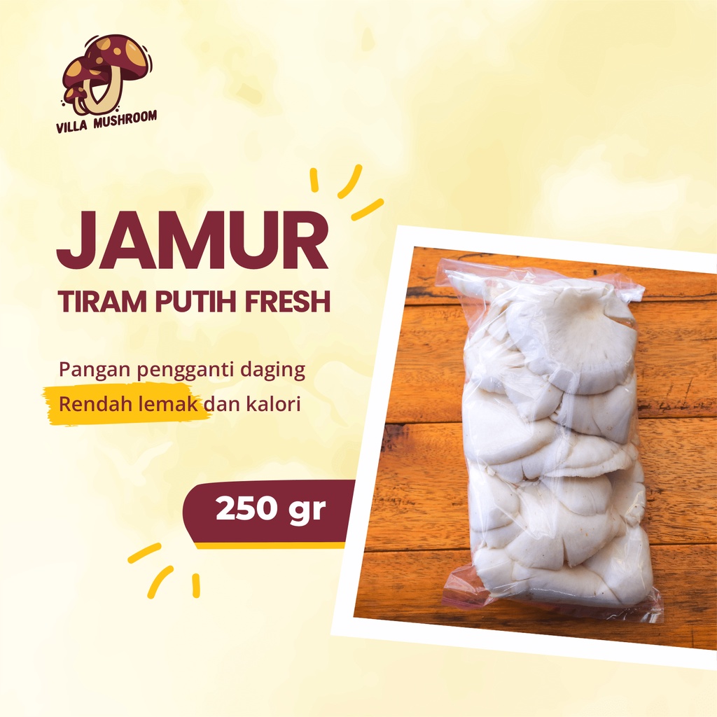 

Jamur Tiram Putih Fresh 250 gr