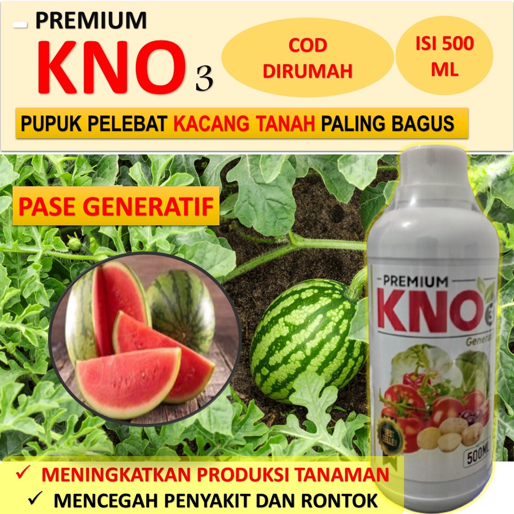 500 ML kno pupuk semangka  - pupuk semangka biar buah besar - pupuk pembesar buah semangka - pupuk p