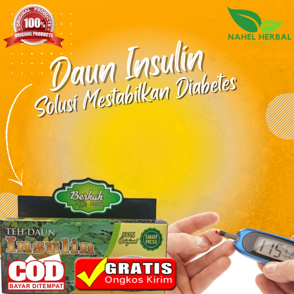 Teh Celup Daun Insulin Berkah Pengering Luka Diabetes Kering Basah Paling Ampuh Original - Obat Herb