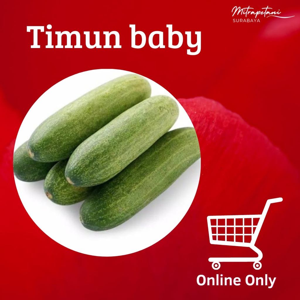 

Timun baby 500gr, timun baby, timun baby segar