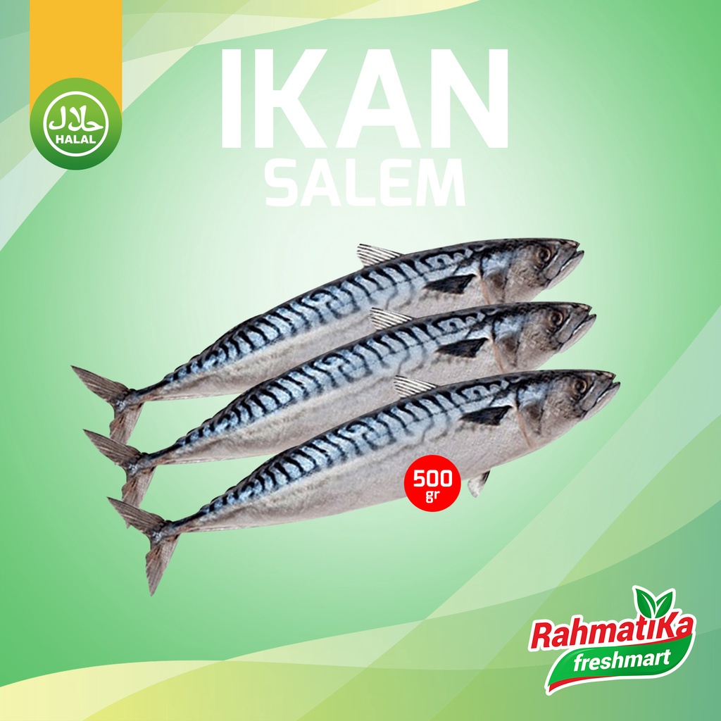 Ikan Salem Segar / Ikan Salem IQF Premium Fresh 500 gr