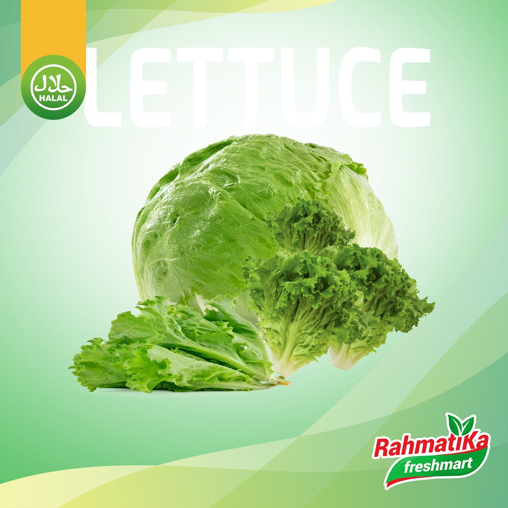 Letus Segar / Lettuce Fresh / Letuce 1 Kg (Sayur Segar)