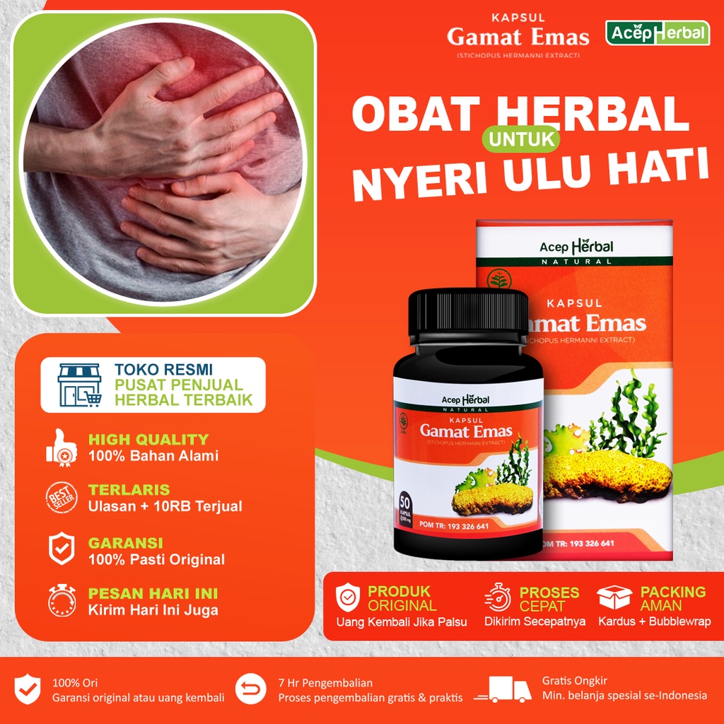 Kapsul Gamat Emas Original BPOM – Herbal Alami untuk Lambung, Asam Lambung & Nyeri Perut