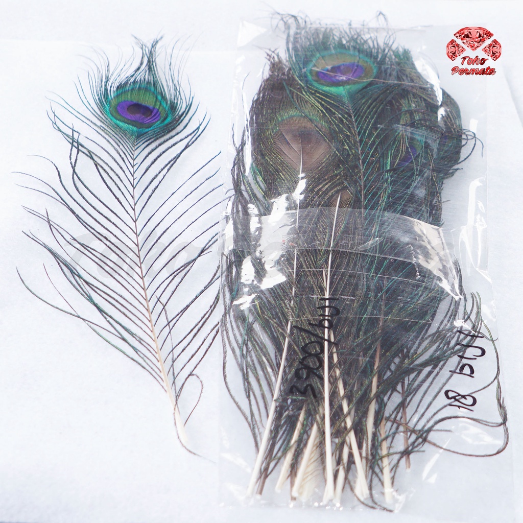 Hiasan Bulu Merak