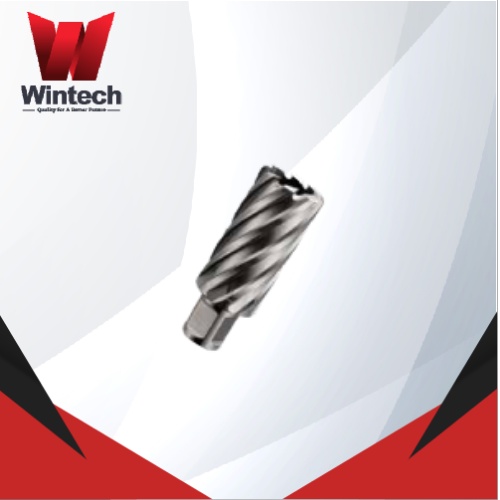 HSS Hole Cutter Cobalt Kedalaman Pemotongan 50MM Wintech / HSS Annular Cutter Cobalt / Mata Bor Besi