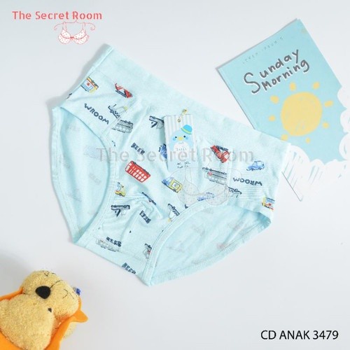 Cd Celana Dalam Anak Tally 3479