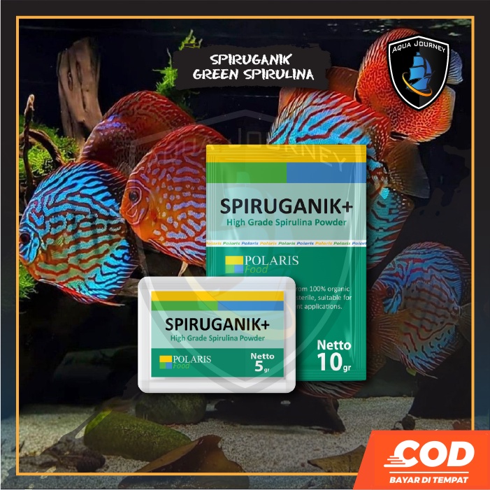 Spirulina Green Spiruganik Hijau Campuran Pakan Ikan Meningkatkan Warna Ikan