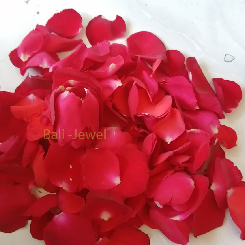 Rose Petals / Kelopak Bunga Mawar Asli Segar