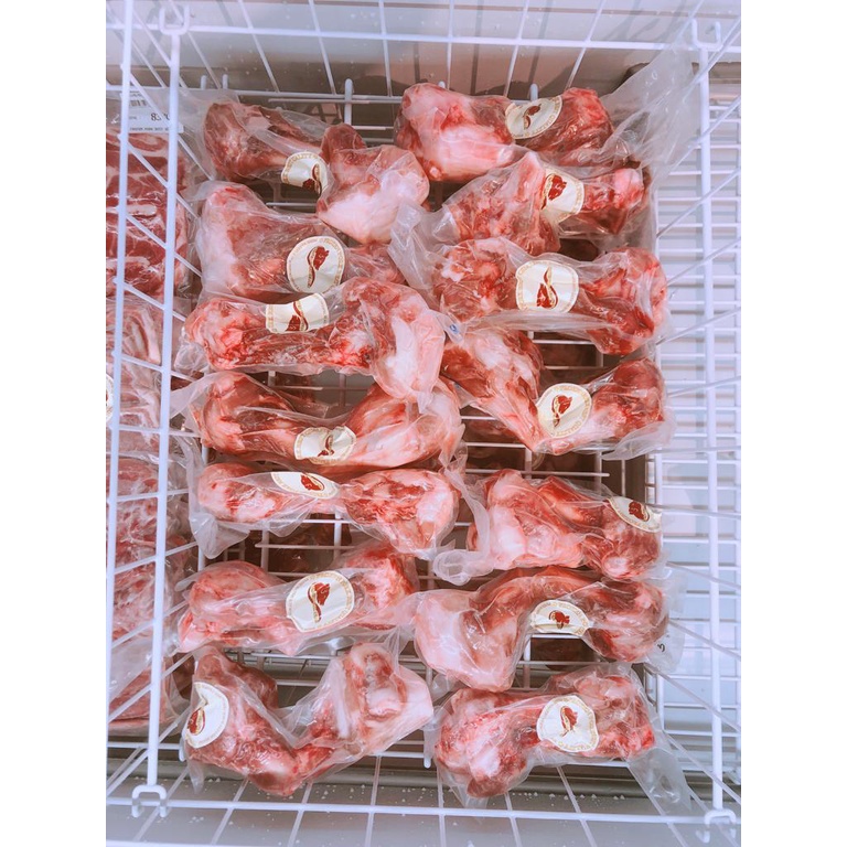 

TULANG DENGKUL BABI