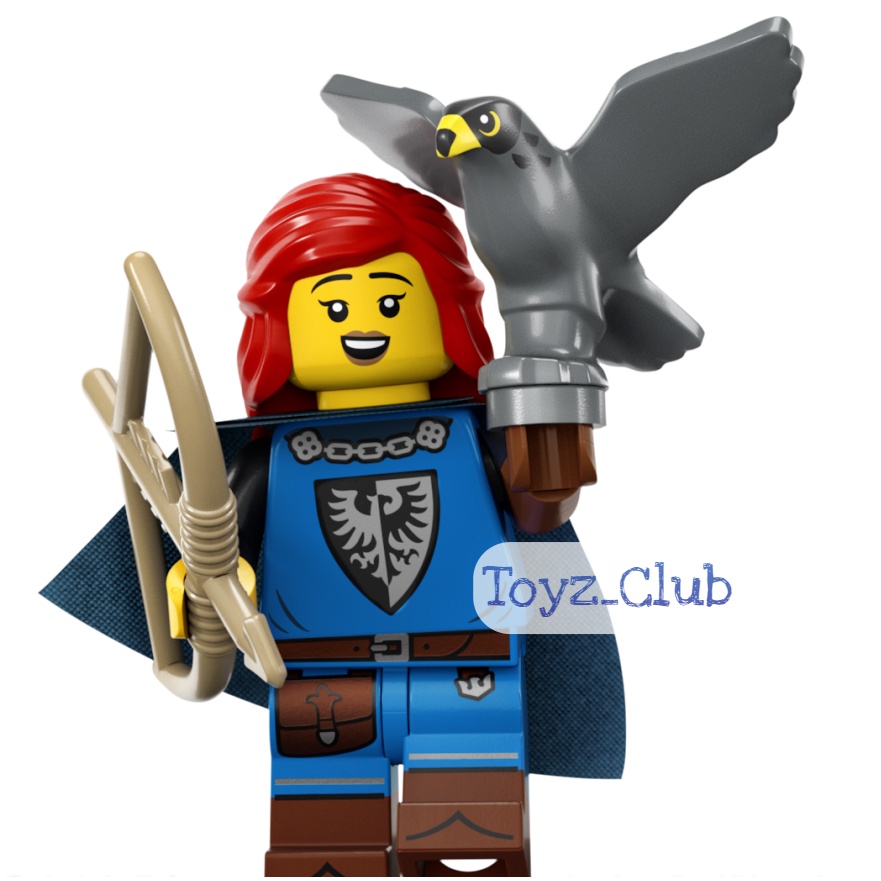 LEGO Minifigures 71037 Series 24 Falconer Minifigure Seri No 5 Set Collectible Limited Edition Toys 