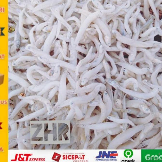 

Sale✔️-ikan asin teri medan kasar asli-1kg - ZHR