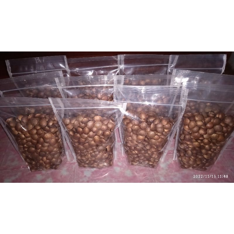 Biji benih kacang SACHA INCHI omega 3,6,dan 9, (harga per biji)