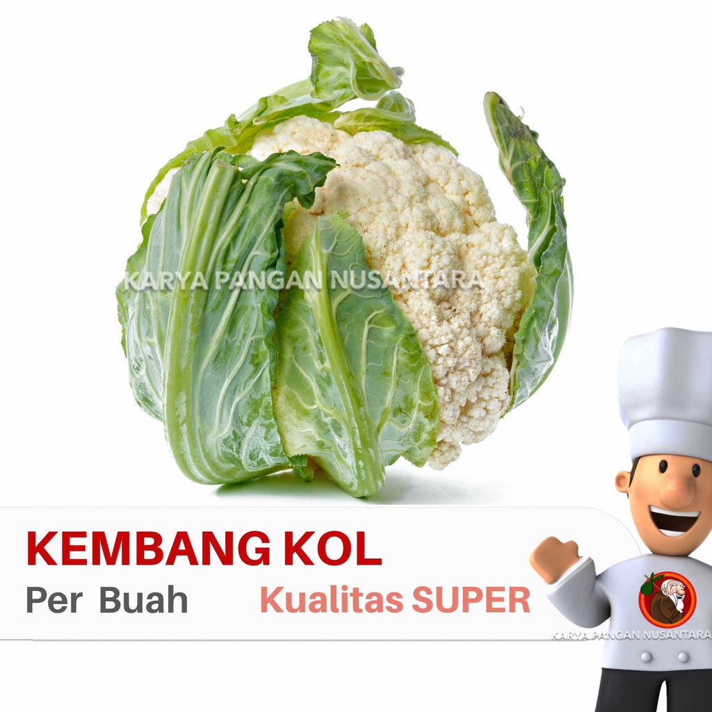 

BROKOLI PUTIH SEGAR BROKOLI PUTIH BATANG KEMBANG KOL PER PCS BUAH