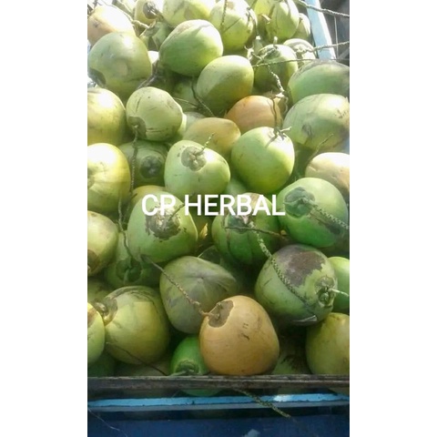 

kelapa muda lokal per 1buah