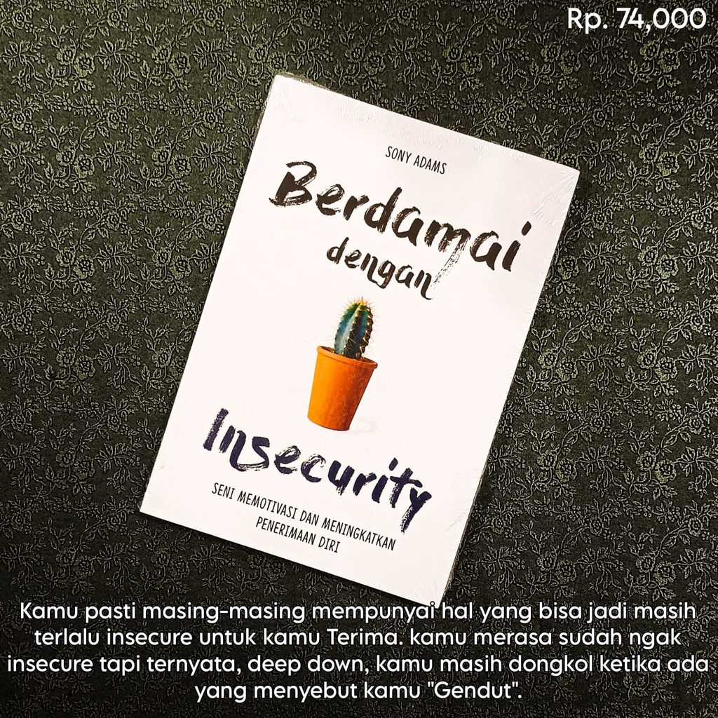 Buku BERDAMAI DENGAN INSECURITY