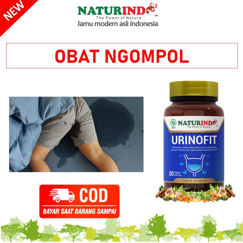 OBAT NGOMPOL DEWASA LANSIA CEGAH NGOMPOL PADA LANSIA KELUHAN KANDUNG KEMIH  INFEKSI  SALURAN KENCING