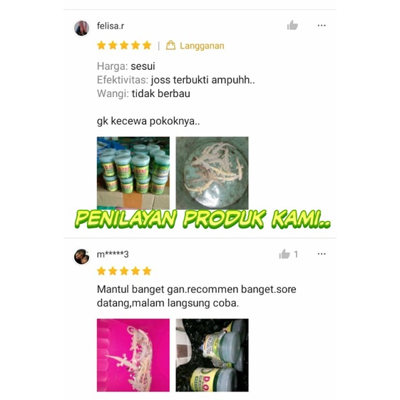 RACUN PEMBASMI CICAK PALING AMPUH OBAT CICAK HERBAL ALAMI ORIGINAL ASLI