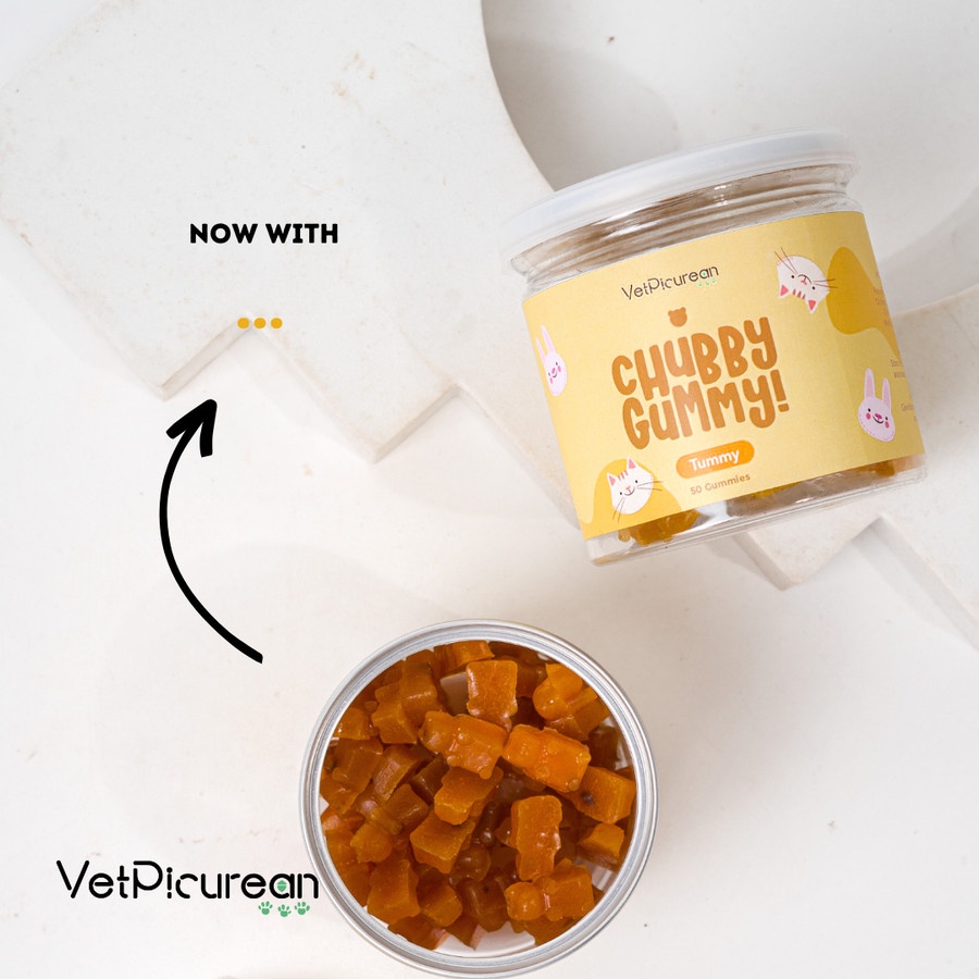 CHUBBY Gummy TUMMY - Vitamin Anjing Kucing Pencernaan Super Food (Fennel Extract / Bee Pollen / Honey)